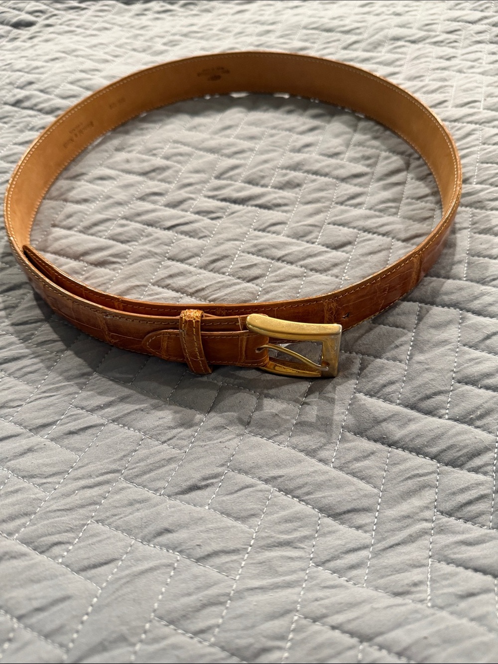 Bianchi e Nardi Crocodile Belt